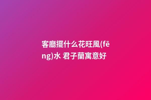 客廳擺什么花旺風(fēng)水 君子蘭寓意好